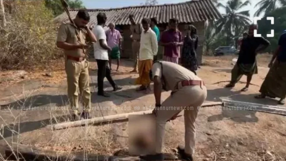 തോട്ടുമുക്കത്ത് പുലിയിറങ്ങിയതായി വാർത്ത;വളർത്തു നായയെ കൊന്നു