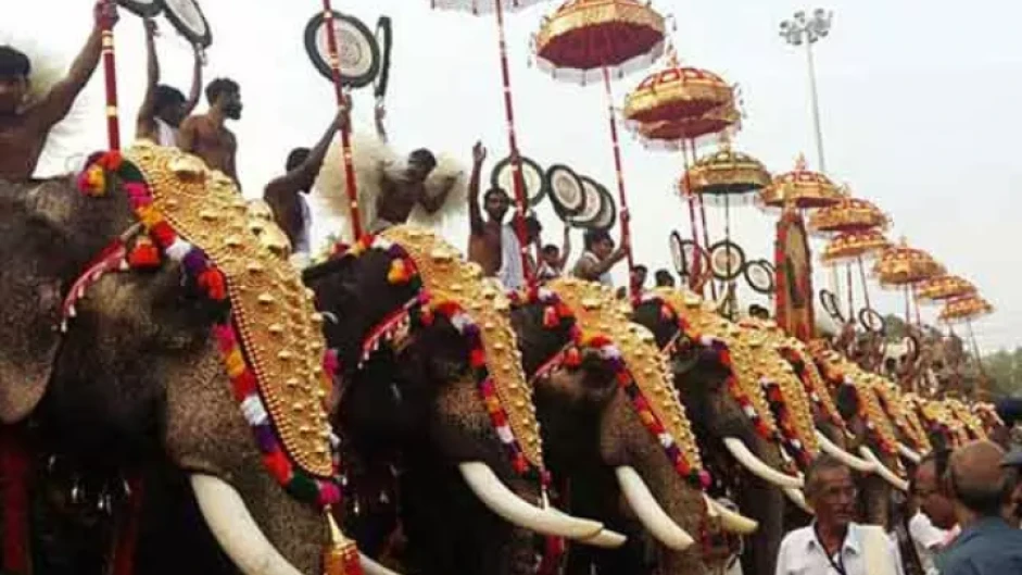 കോഴിക്കോട് ജില്ലയിൽ ആന എഴുന്നള്ളിപ്പിന് കർശന നിയന്ത്രണങ്ങൾ