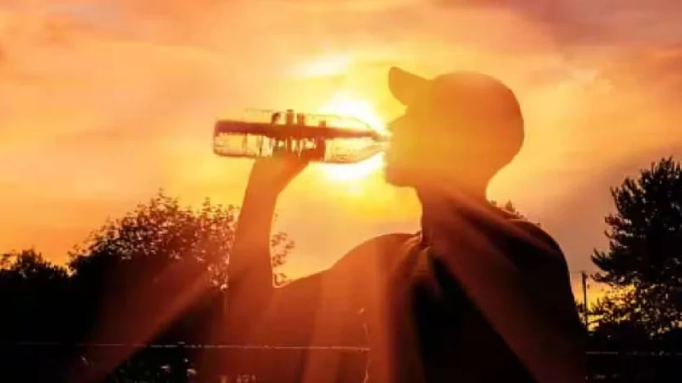 സംസ്ഥാനത്ത് ഉഷ്ണതരംഗ സാധ്യതാ മുന്നറിയിപ്പ്; രണ്ട് ജില്ലകളിൽ യെല്ലോ അലർട്ട്