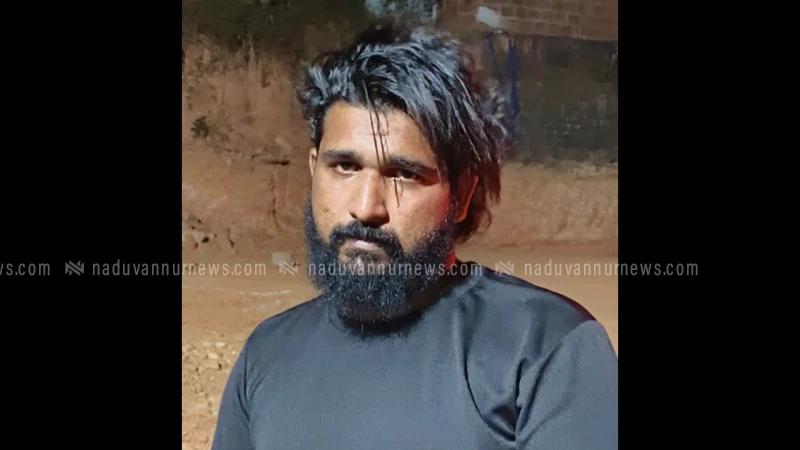 എം.ഡി.എം.എയുമായി പേരാമ്പ്ര കടിയങ്ങാട് സ്വദേശി പിടിയിൽ