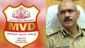 
                        കാൽനട യാത്രക്കാർ ട്രാഫിക് നിയമങ്ങൾ പാലിച്ചില്ലെങ്കിൽ പിഴ ഈടാക്കും; ട്രാൻസ്പോർട്ട് കമ്മീഷണർ