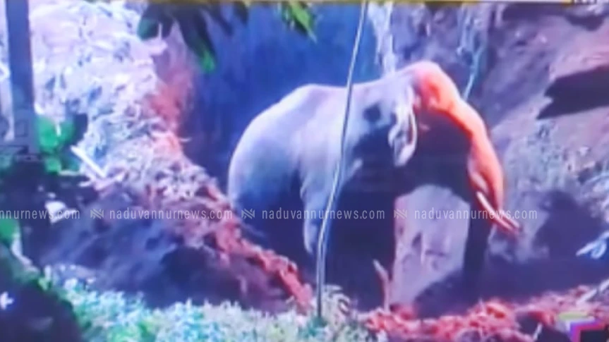  കിണറിൽ വീണ കാട്ടാനയെ 20 മണിക്കൂർ നീണ്ട രക്ഷാപ്രവർത്തനത്തിനു ശേഷം രക്ഷിച്ചു