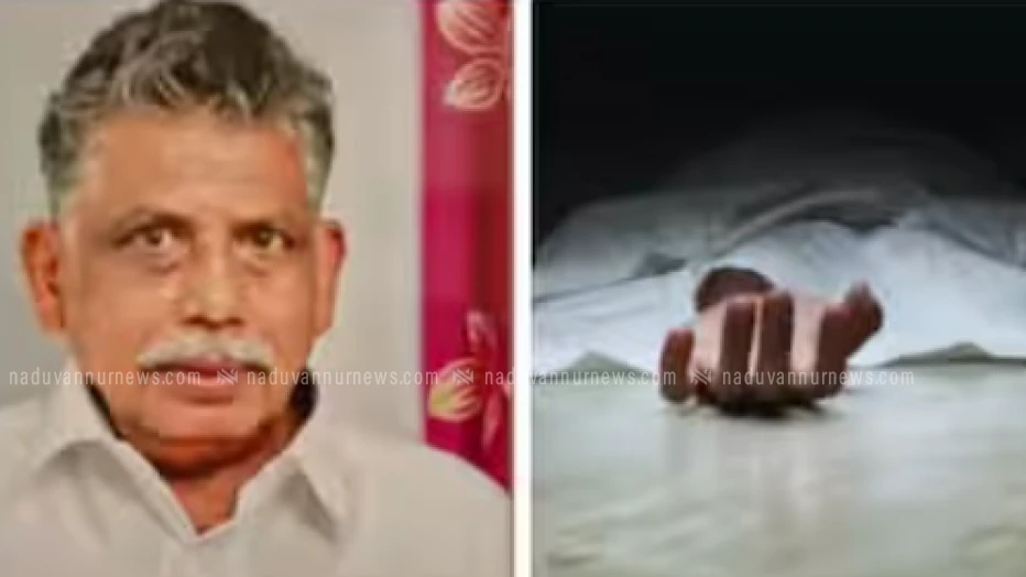 തേനീച്ചയുടെ കുത്തേറ്റ് വയോധികൻ മരിച്ചു