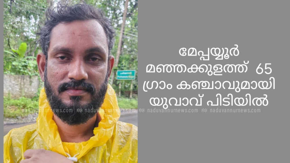 മേപ്പയ്യൂർ മഞ്ഞക്കുളത്ത്  65 ഗ്രാം കഞ്ചാവുമായി യുവാവ് പിടിയിൽ