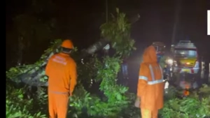 
                        പേരാമ്പ്ര ബൈപ്പാസിൽ മരം കടപുഴകി വീണു ഗതാഗതം തടസ്സപ്പെട്ടു