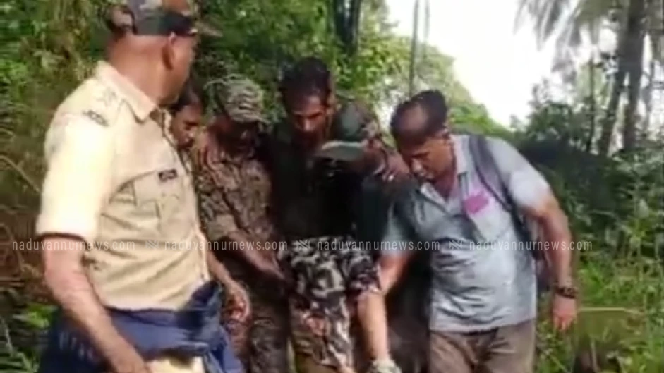  കാവിലുംപാറയിൽ കാട്ടാനകുട്ടിയെ പിന്തുടരുന്നതിനിടയിൽ ആർആർടി അംഗത്തിന് പരിക്ക്