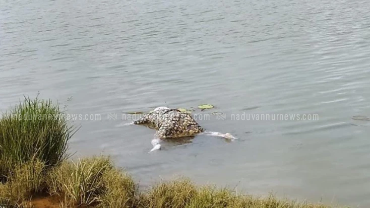തോടന്നൂർ കവുന്തൻ നട പാലത്തിനടുത്ത് സ്ത്രീയുടെ മൃതദേഹം കണ്ടെത്തി