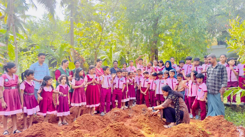 കപ്പ കൃഷിയുമായി വന്മുകം-എളമ്പിലാട് എം.എൽ.പി. സ്കൂളിലെ കുട്ടി കർഷകർ