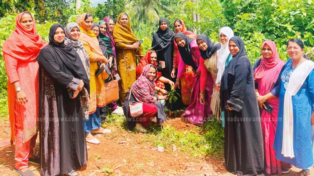  മേപ്പയൂരിൽ വനിതാ ലീഗ് പരിസ്ഥിതി ദിനാചരണം സംഘടിപ്പിച്ചു