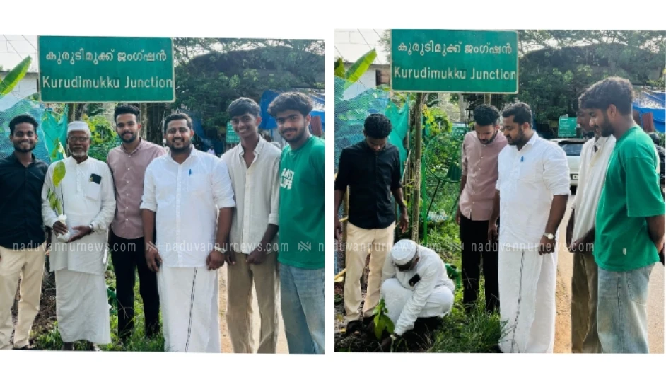 ലോക പരിസ്ഥിതി ദിനത്തിൽ അരിക്കുളത്ത് എം.എസ്.എഫ്. ഫല വൃക്ഷ തൈകൾ നട്ടു