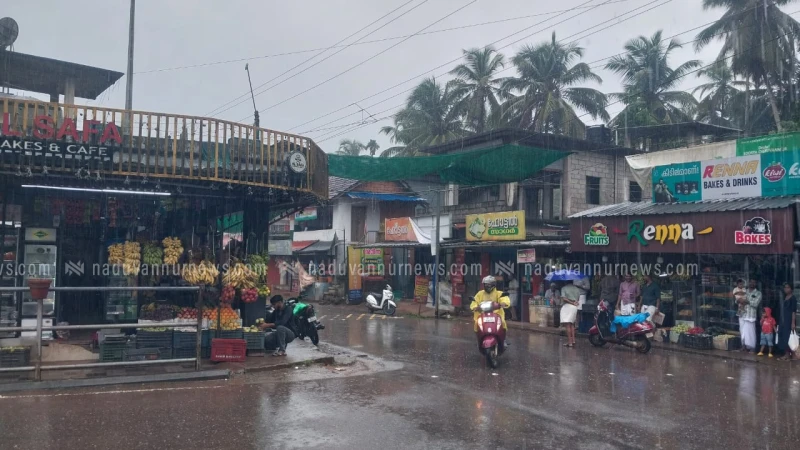 പേരാമ്പ്ര ചെറുവണ്ണൂരിൽ ഇന്ന് മൂന്ന് പേർക്ക് പേപ്പട്ടിയുടെ കടിയേറ്റു