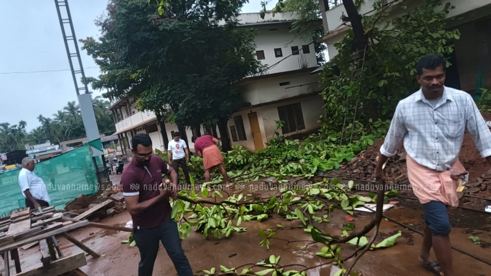 നടുവണ്ണൂർ ഹയർ സെക്കൻ്ററി സ്കൂൾ പരിസരത്തെ അപകടാവസ്ഥയിലുള്ള മരങ്ങൾ മുറിച്ചുമാറ്റി