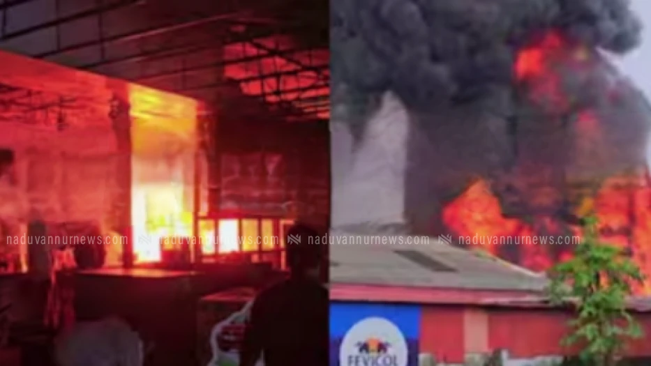  ചാലക്കുടിയിൽ പെയിൻറ് ഹാർഡ് വെയർ ഷോപ്പിൽ വൻ തീപിടുത്തം