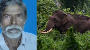 
                        പാലക്കാട് മുണ്ടൂരിൽ കാട്ടാന ആക്രമണം; ഒരാൾ കൊല്ലപ്പെട്ടു