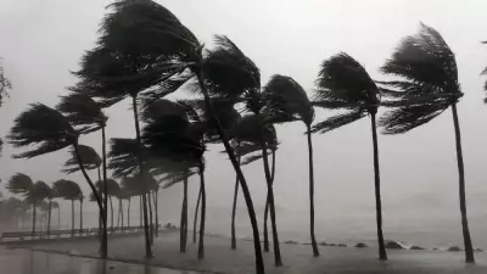  സംസ്ഥാനത്ത് മഴ ശക്തമാകുന്നു; ഇന്ന് എട്ട് ജില്ലകളിൽ യെല്ലോ അലർട്ട്