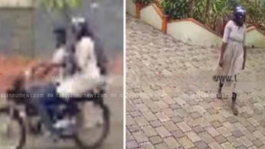 പട്ടാപ്പകൽ വീട്ടുമുറ്റത്ത് നിന്ന് കുരുമുളക് മോഷണം പോയി