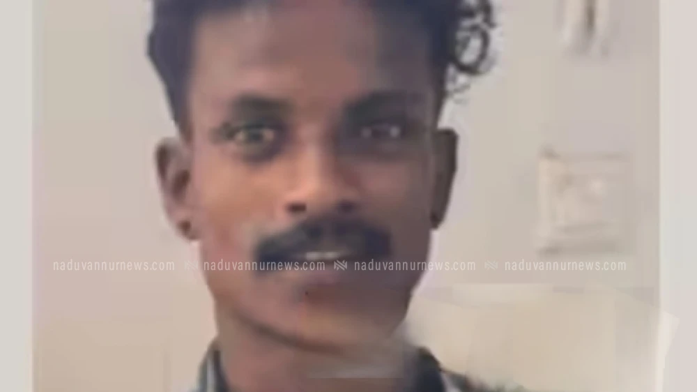 കാപ്പ വകുപ്പ് ചുമത്തി നാടുകടത്തിയ യുവാവ് ജില്ലയിൽ തിരിച്ചെത്തിയതിനെ തുടർന്ന് വീണ്ടും പിടിയിൽ