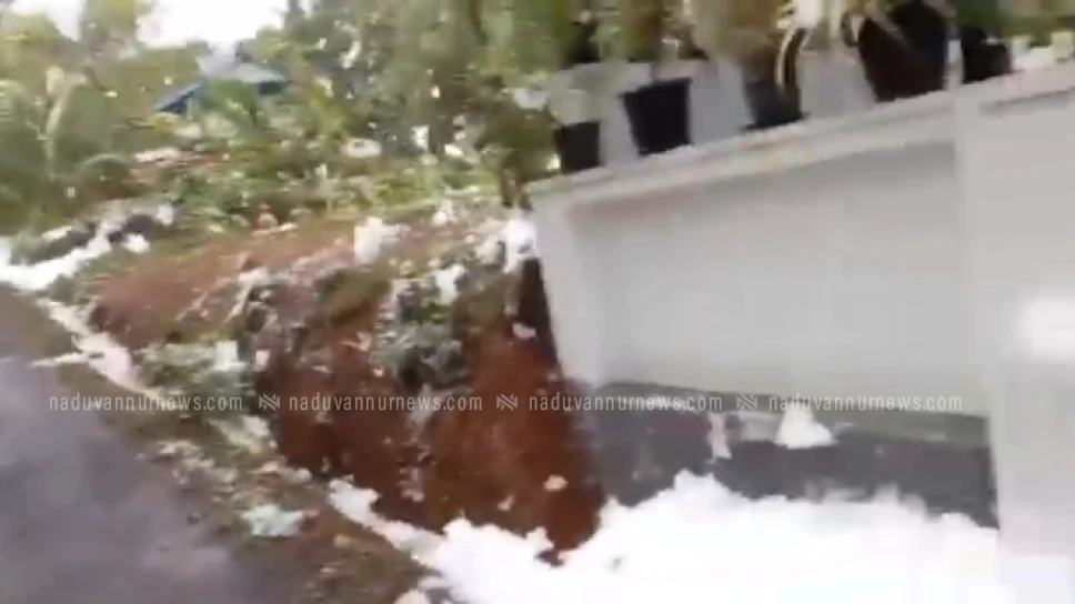 തൃശൂരിൽ പത മഴ പെയ്തിറങ്ങി അമ്പരന്ന് നാട്ടുകാർ