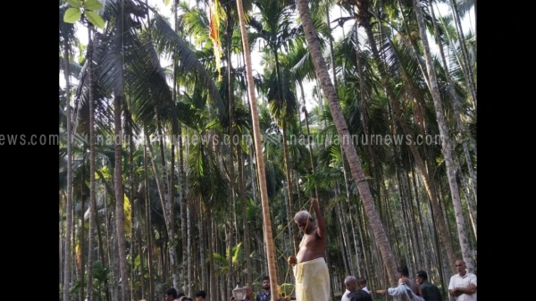  ഉളളിയേരി കരിങ്ങറ്റിക്കോട്ട ഭഗവതി ക്ഷേത്രത്തിൽ തിറ മഹോത്സവം