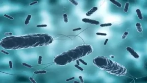 
                        സംസ്ഥാനത്ത് വീണ്ടും കോളറ മരണം, ചികിത്സയിലുണ്ടായിരുന്ന ആലപ്പുഴ സ്വദേശി മരിച്ചു