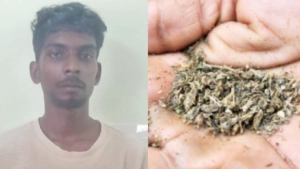 
                        എൽകെജി പ്രായത്തിൽ വിദ്യാർത്ഥിനിയെ ലൈംഗിക പീഡനത്തിന് ഇരയാക്കിയ യുവാവിന് 75 വർഷം കഠിന തടവ്