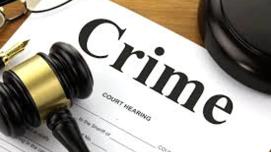  ഓപ്പറേഷൻ ഡി ഹണ്ട്; സംസ്ഥാനത്ത് പിടിയിലായത് 104 പേർ