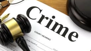 
                        ഓപ്പറേഷൻ ഡി ഹണ്ട്; സംസ്ഥാനത്ത് പിടിയിലായത് 104 പേർ