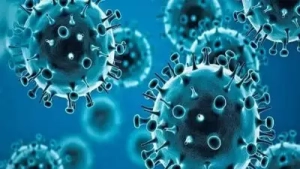 
                        മുംബൈയിൽ കോവിഡ് കേസുകൾ ഉയരുന്നു; 95 പേർക്ക് കൂടി രോഗം സ്ഥിരീകരിച്ചു