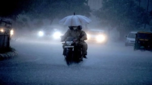 
                        വയനാട്ടിലെ വിനോദ സഞ്ചാര കേന്ദ്രങ്ങൾ അടയ്ക്കാൻ ജില്ലാ കളക്ടർ  ഉത്തരവിട്ടു