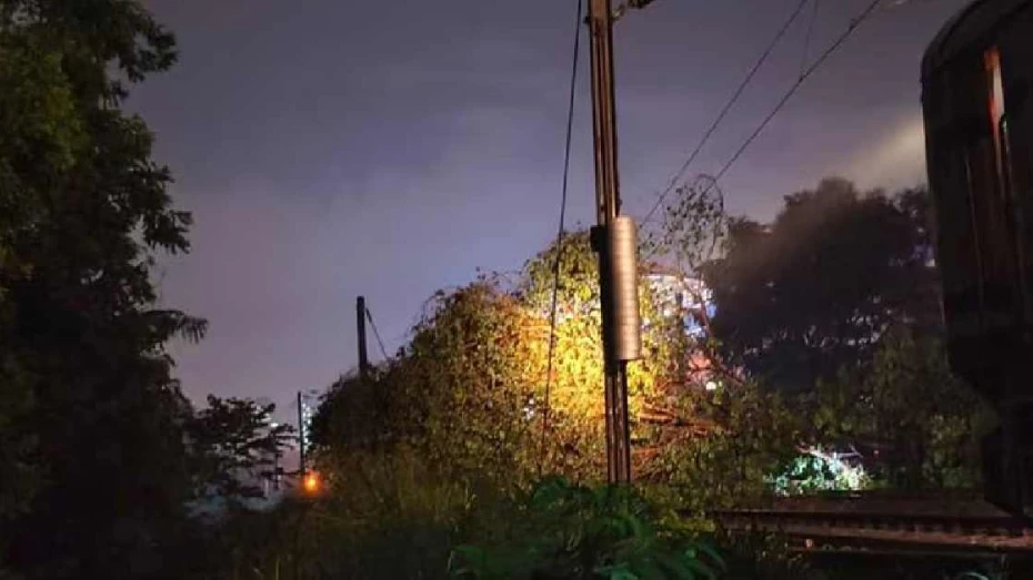 കോഴിക്കോടും ആലുവയിലും റെയിൽവെ ട്രാക്കിൽ മരം വീണു, ഗതാഗതം തടസ്സപ്പെട്ടത് 6 മണിക്കൂറോളം