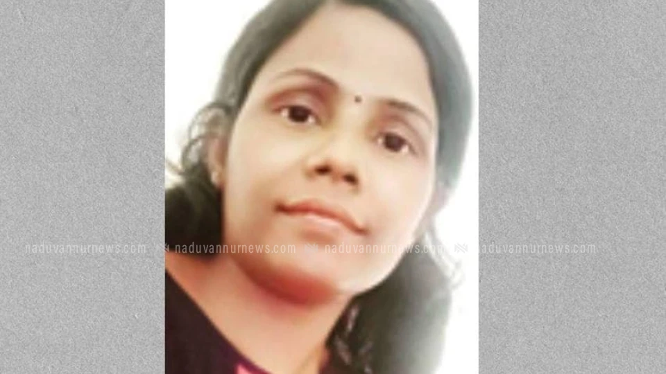 കുടുംബത്തിലെ മൂന്നു പേർക്ക് ഇരുമ്പ് ഗ്രില്ലിൽ നിന്ന് ഷോക്കേറ്റു, യുവതി മരിച്ചു 