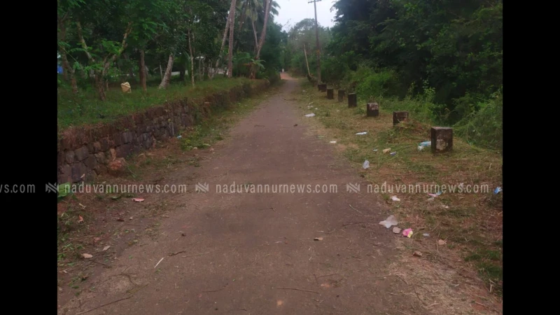  കാവുന്തറയിൽ റോഡ് സൈഡിലെ കാട് വെട്ടി മാതൃകയായി നാട്ടുകാർ