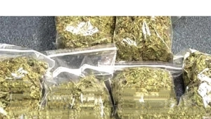 നെടുമ്പാശ്ശേരിയിൽ 6.4 കോടിയുടെ ഹൈബ്രിഡ് കഞ്ചാവുമായി വയനാട് സ്വദേശിയെ പിടികൂടി