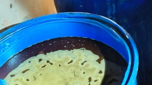 
                        ഉള്ള്യേരിയിൽ വാറ്റാനായി സൂക്ഷിച്ച 400 ലിറ്റർ വാഷ് പിടികൂടി