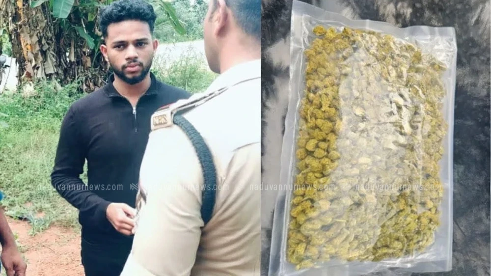 വിൽപ്പനയ്‌ക്കെത്തിച്ച കഞ്ചാവുമായി കാവുംവട്ടം സ്വദേശി പേരാമ്പ്രയിൽ പിടിയിലായി