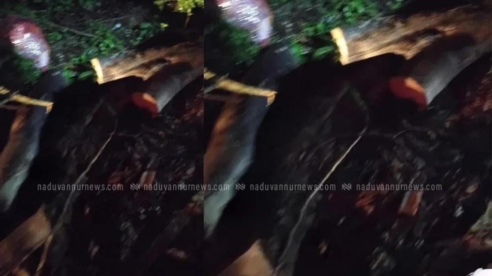  സംസ്ഥാന പാതയിൽ കുറുവങ്ങാട് അക്വഡക്ടിന് സമീപം മരം വീണ് കാർ  തകർന്നു