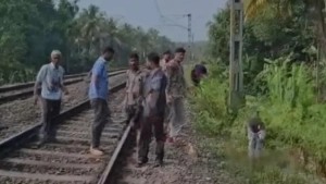 
                        വടകരയിൽ ട്രെയിൻ തട്ടി മധ്യവയസ്ക്‌കന് ദാരുണാന്ത്യം