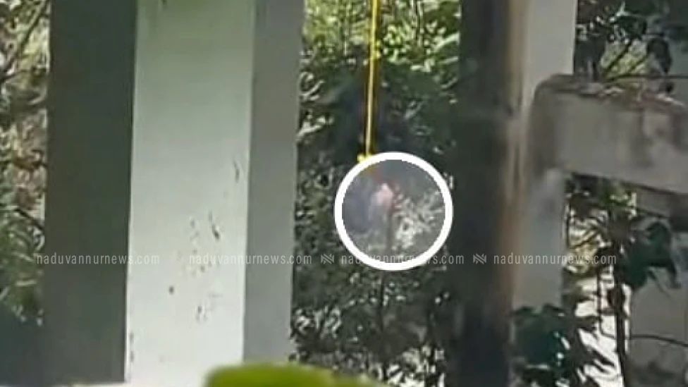  തുഷാരഗിരി പാലത്തിനു മുകളിൽ തൂങ്ങി നിൽക്കുന്ന നിലയിൽ പുരുഷന്റെ  തല കണ്ടെത്തി