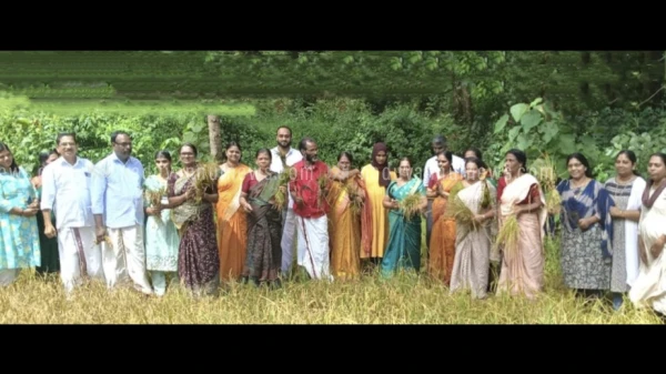 
                                    പറേച്ചാല്‍ ദേവി ക്ഷേത്രത്തില്‍ കരനെല്‍കൃഷി കൊയ്ത്തുത്സവം ആഘോഷമായി