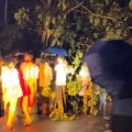 ദേശീയപാതയിൽ പാലക്കുളത്ത് വൻ മരം കടപുഴകി വീണ് ഗതാഗത തടസ്സം; ഒഴിവായത് വൻ ദുരന്തം ദേശീയപാതയിൽ പാലക്കുളത്ത് വൻ മരം കടപുഴകി വീണ് ഗതാഗത തടസ്സം; ഒഴിവായത് വൻ ദുരന്തം