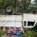കുറ്റിയാടി ചുരത്തിൽ പിക്കപ്പുവാൻ നിയന്ത്രണം വിട്ട് മറിഞ്ഞു അപകടം കുറ്റിയാടി ചുരത്തിൽ പിക്കപ്പുവാൻ നിയന്ത്രണം വിട്ട് മറിഞ്ഞു അപകടം