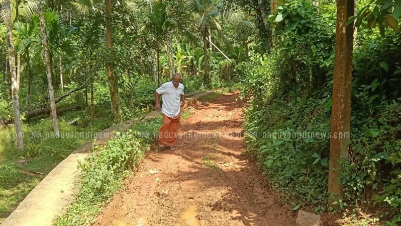  അരിക്കുളം തിയ്യർ കണ്ടി - തട്ടാർക്കുന്നത് താഴെ റോഡിൽ കാൽനട യാത്ര പോലും ദുഷ്കരം