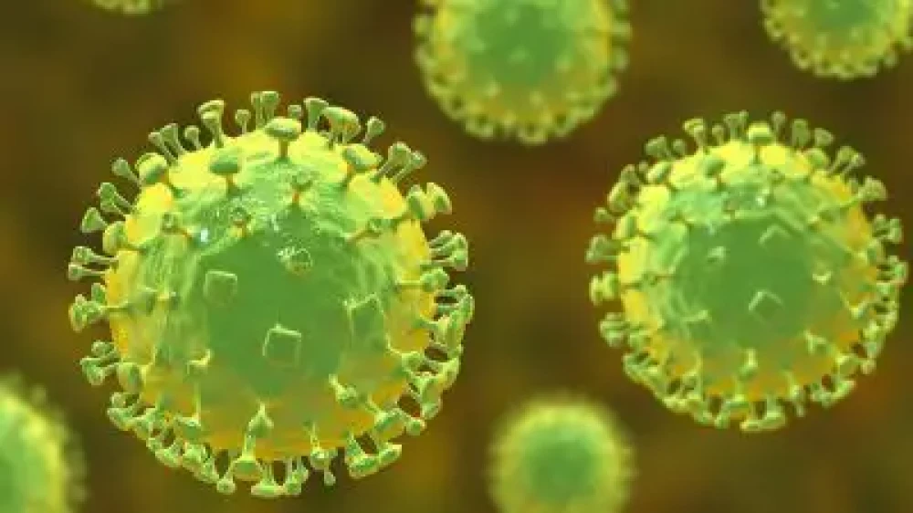 അമീബിക് മസ്തിഷ്‌കജ്വരം: ചികിത്സയിലുള്ള രണ്ടുപേരുടെ ആരോഗ്യനില ഗുരുതരം