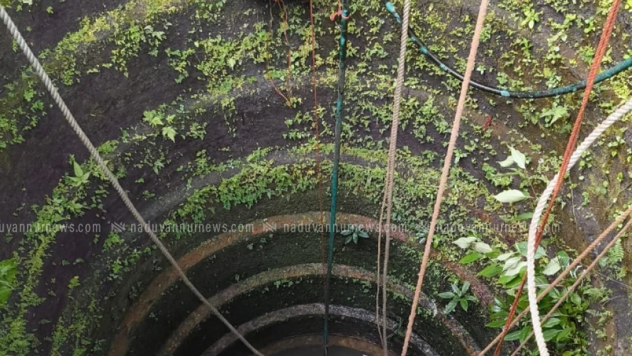 കിണറിൽ വീണ പശുവിന് രക്ഷകരായി പേരാമ്പ്ര ഫയർ ഫോഴ്സ്