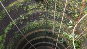 
                        കിണറിൽ വീണ പശുവിന് രക്ഷകരായി പേരാമ്പ്ര ഫയർ ഫോഴ്സ്