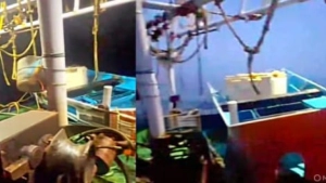 
                        കൊയിലാണ്ടി ഹാർബറിൽ നിന്നും മൽസ്യ ബന്ധനത്തിന് പോയ തോണി ബോട്ട് ഇടിച്ച് തകർന്നു