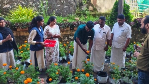 മേപ്പയൂർ ഹയർ സെക്കൻഡറി  സ്കൂളിൽ ചെണ്ടുമല്ലി വിളവെടുപ്പ്