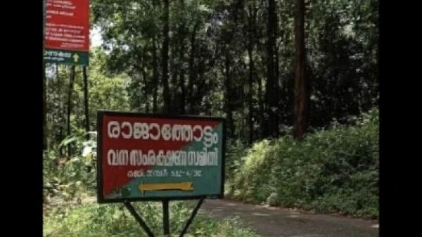 രാജാത്തോട്ടം വനത്തിനുള്ളില്‍ കുടുങ്ങിയ വിനോദ യാത്രാ സംഘത്തെ രക്ഷപ്പെടുത്തി 