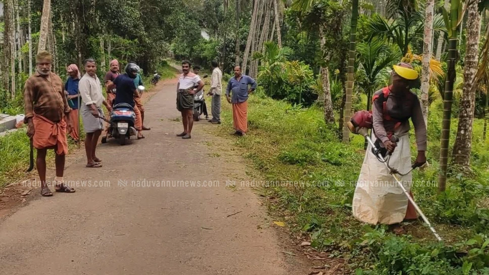 പൈതോത്ത് - പനക്കാട്‌ റോഡിലെ കാട് വെട്ടിത്തെളിച്ചു ജനകീയ കൂട്ടായ്‌മ