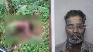 
                        ബാലുശ്ശേരിയിൽ ആളൊഴിഞ്ഞ പറമ്പിൽ വയോധികന്റെ മൃതദേഹം കണ്ടെത്തി